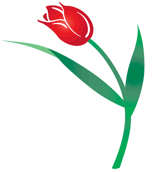 Тюльпаны это символ. Тюльпан логотип. Тюльпан символ. Логотип цветок. Иллюстрации векторные тюльпаны.